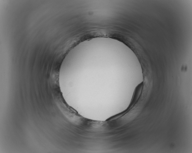 X0000111910096200908171312