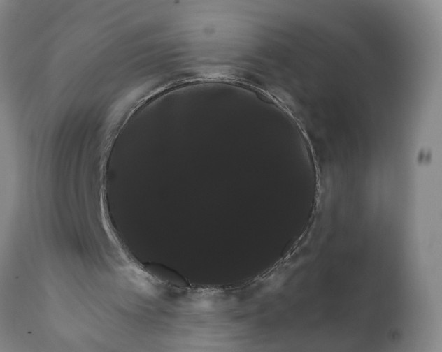 X0000111910097200908171311