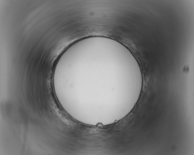 X0000111910098200908171311