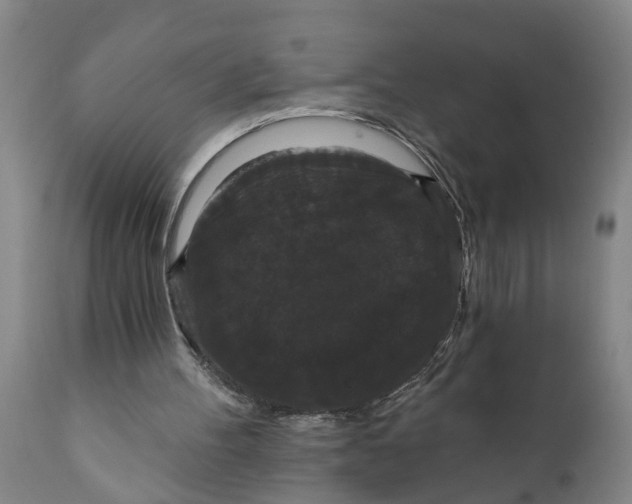 X0000111910100200908171311