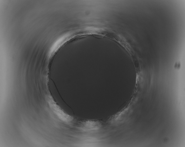 X0000111910101200908171311