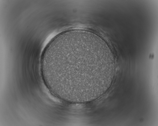 X0000111910102200908171311