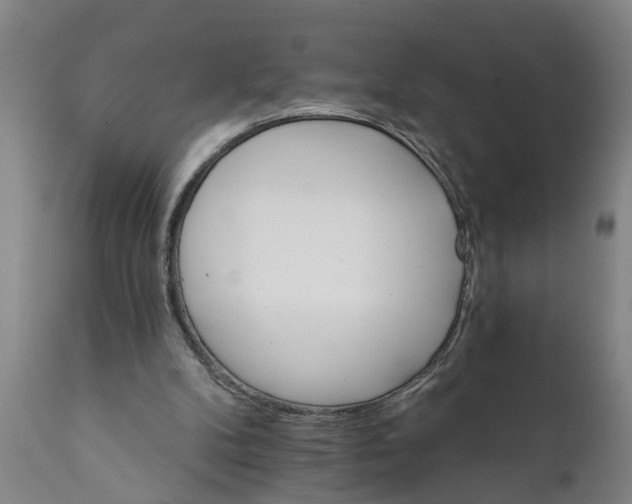 X0000111910104200908171311