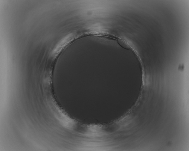 X0000111910105200908171311