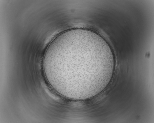 X0000111910106200908171311