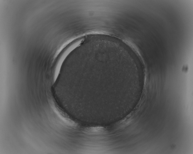 X0000111910108200908171311