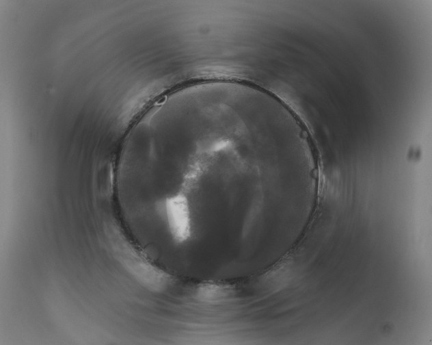 X0000111910109200908171311