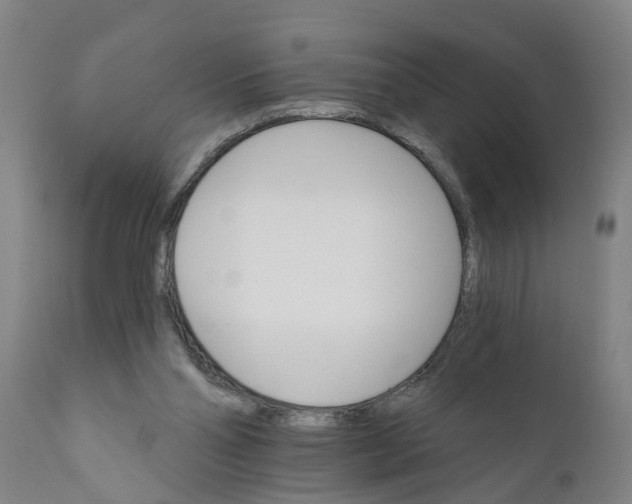 X0000111910110200908171311
