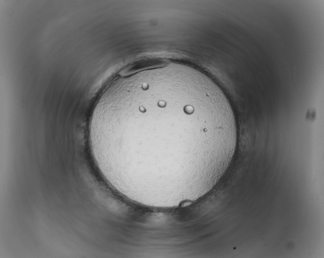 X0000111910111200908171311