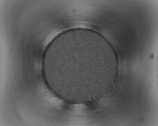X0000111910112200908171311