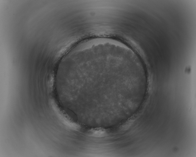 X0000111910113200908171311