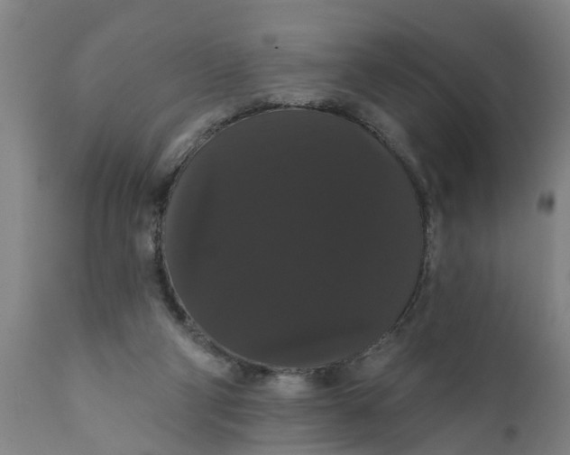 X0000111910114200908171311