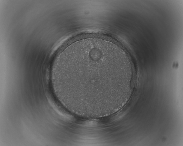 X0000111910116200908171311
