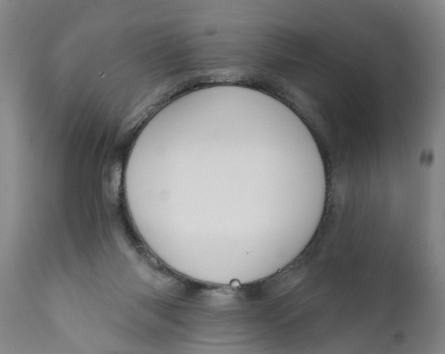 X0000111910118200908171311