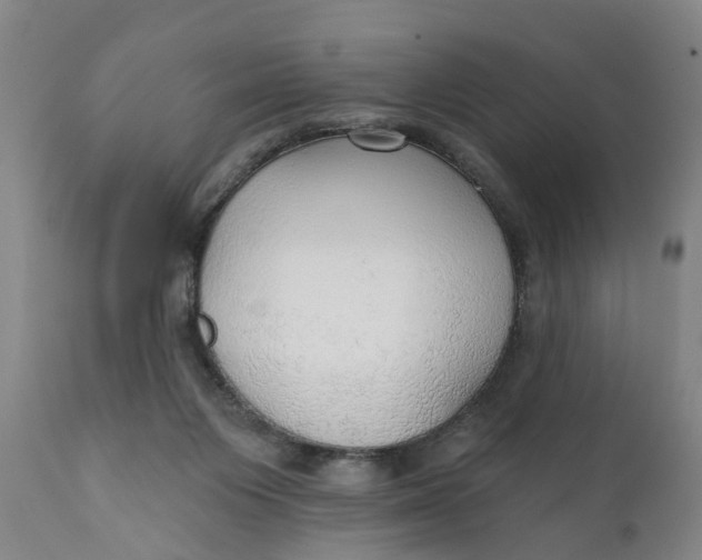 X0000111910119200908171311