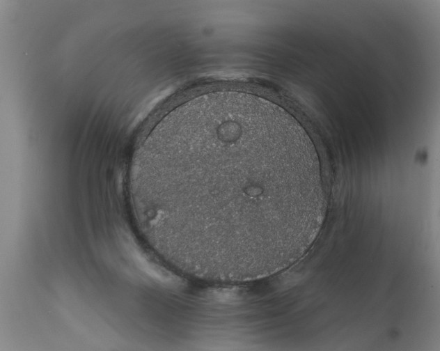X0000111910120200908171311