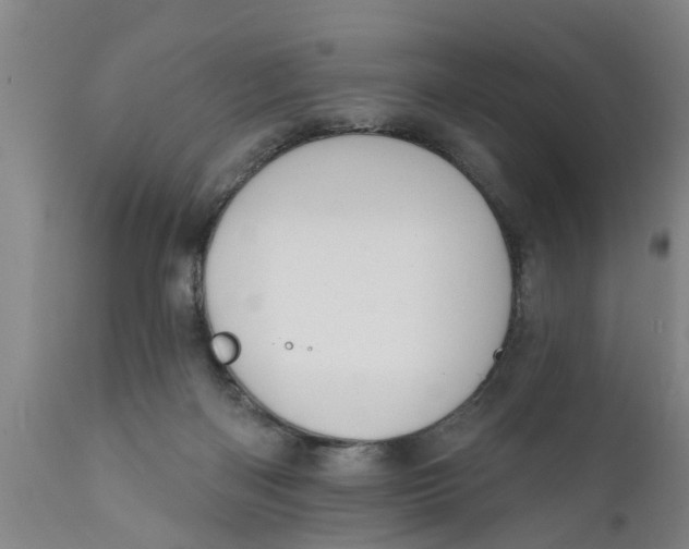 X0000111910122200908171311