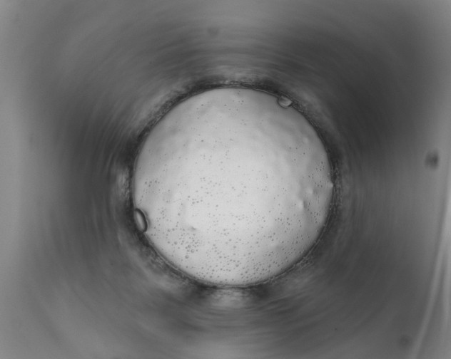 X0000111910123200908171311