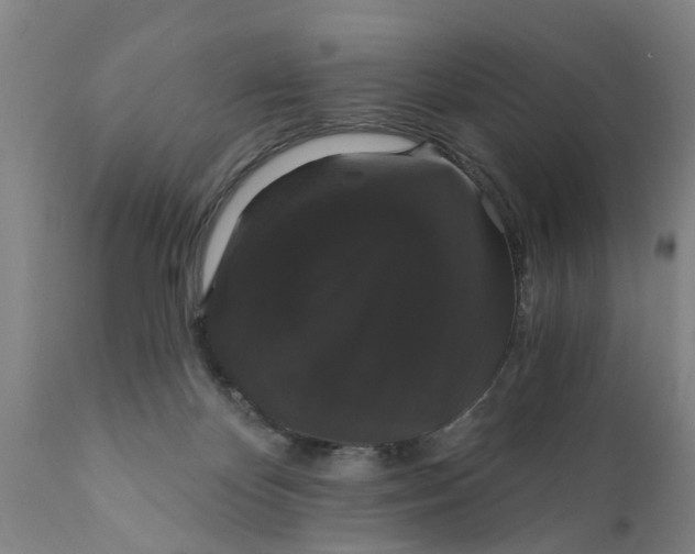 X0000111910124200908171311