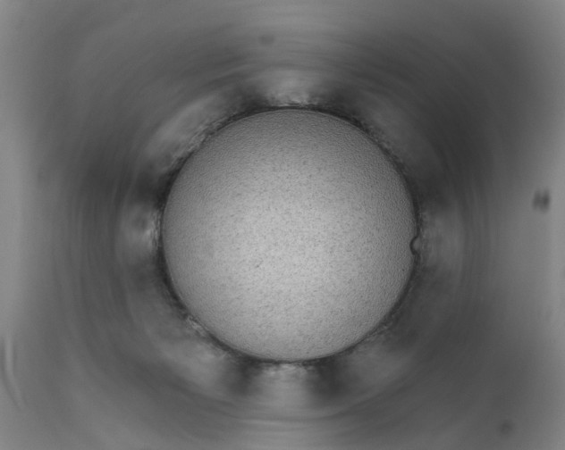X0000111910125200908171310