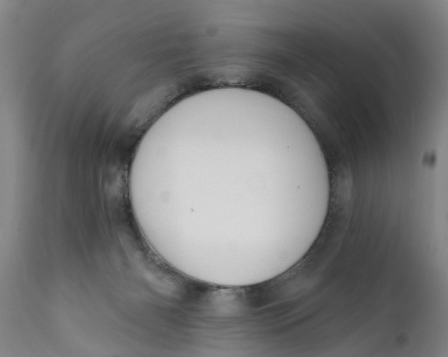 X0000111910126200908171310