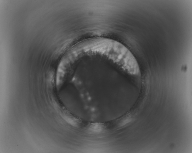 X0000111910127200908171310