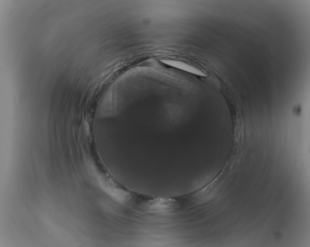 X0000111910128200908171310