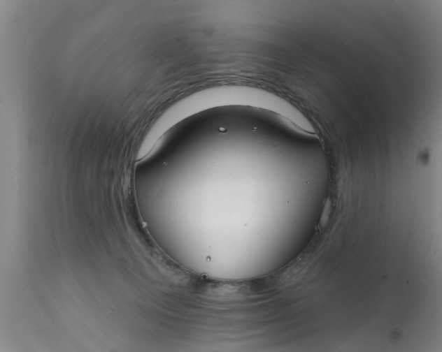 X0000111910129200908171310