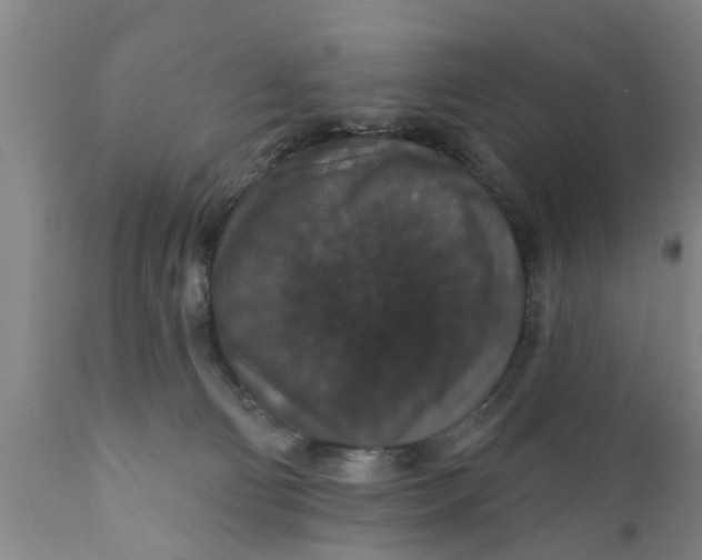 X0000111910130200908171310