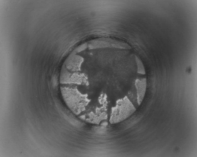 X0000111910131200908171310