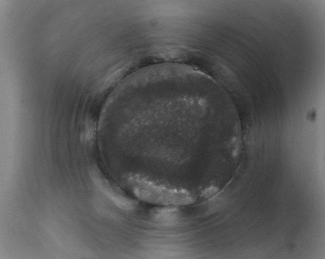 X0000111910132200908171310