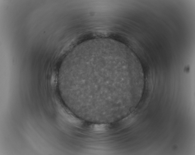 X0000111910134200908171310