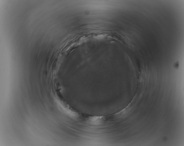 X0000111910136200908171310