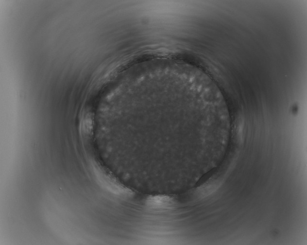 X0000111910137200908171310