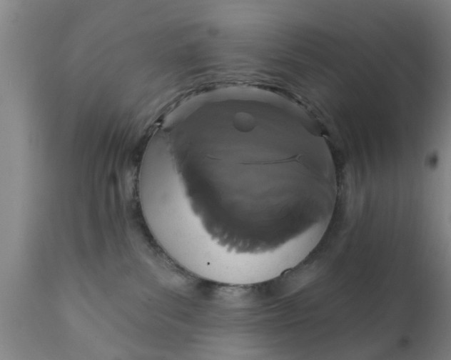 X0000111910139200908171310
