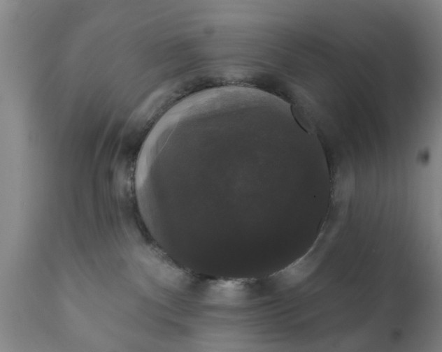 X0000111910140200908171310