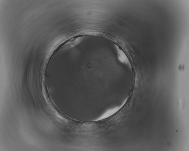 X0000111910145200908171310