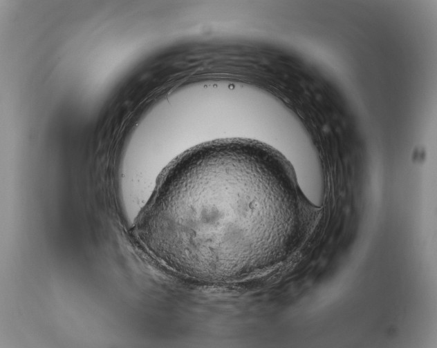 X0000111910146200908171310