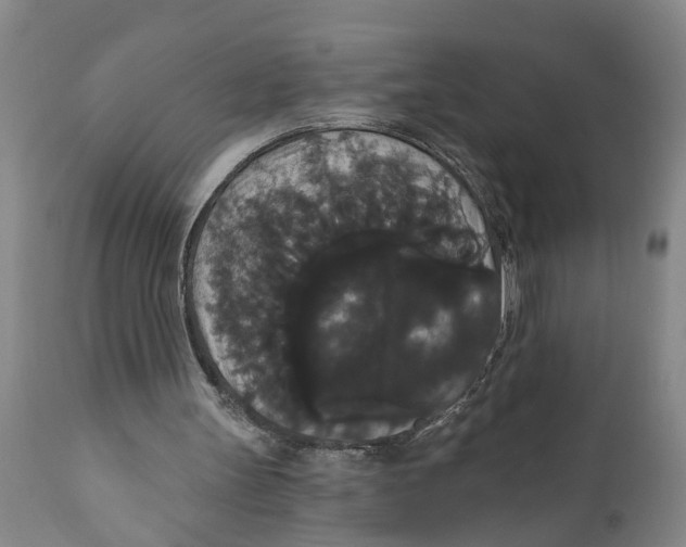 X0000111910147200908171310