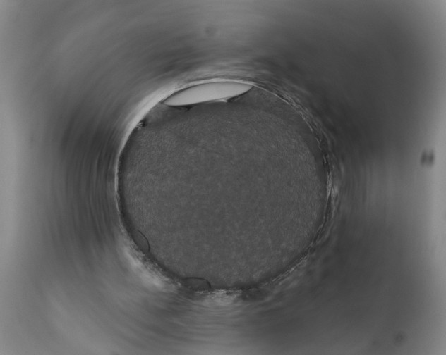 X0000111910148200908171310
