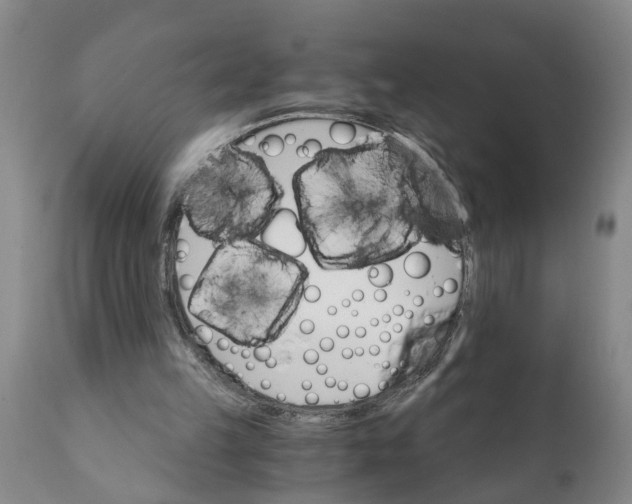 X0000111910149200908171310