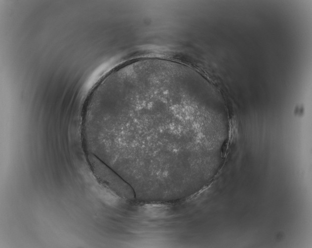 X0000111910150200908171310