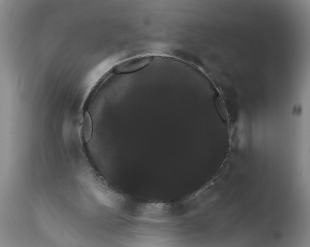 X0000111910152200908171310