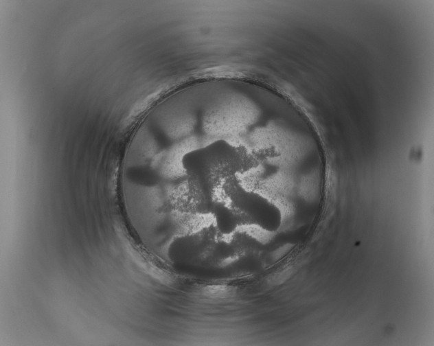 X0000111910153200908171310