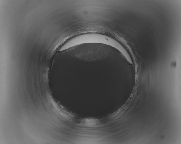 X0000111910154200908171310