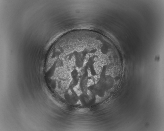 X0000111910155200908171310