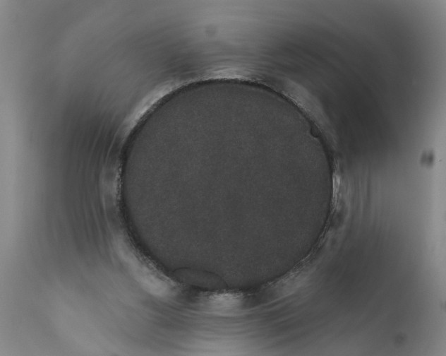 X0000111910156200908171310