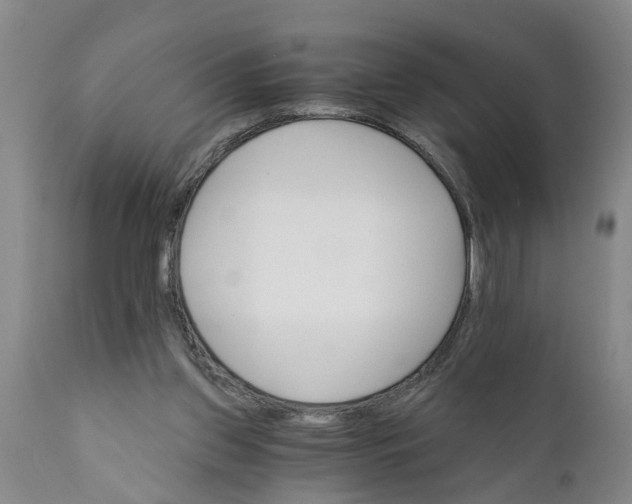 X0000111910157200908171310