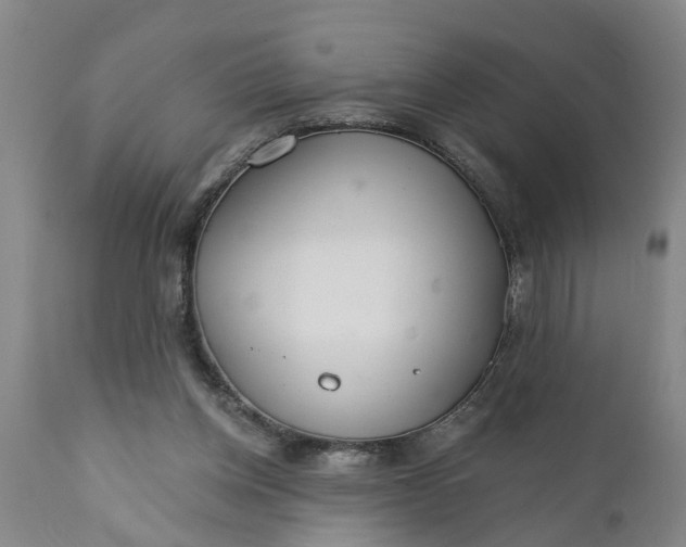 X0000111910158200908171310