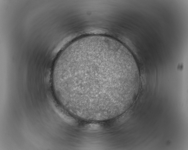 X0000111910159200908171310